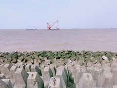 -上海滨江森林公园