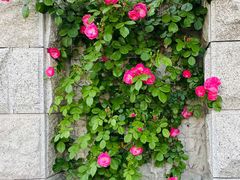 -芳华路(地铁站)