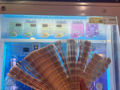 -汤姆熊欢乐世界(正大店)