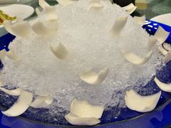 -文杏酒楼(一品天下店)