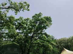 -WeLope紫金山探险公园