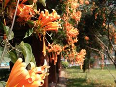 -闽南师范大学(江滨校区)