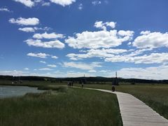 -塞罕坝国家级自然保护区