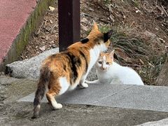 -敬亭山风景名胜区