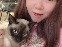 -藏猫猫咖啡主题馆(中央大道店)