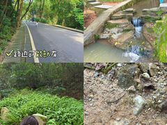 -火炉山森林公园