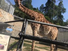 -泉州海丝野生动物世界