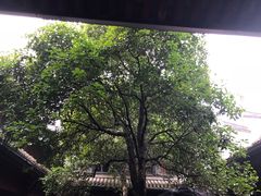 -蒋氏故居