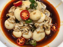 -大锅强·蒸海鲜青岛菜(吾悦广场店)