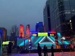 -合景·悠方(成都店)