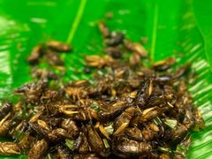 -席娜卡琳火车铁道夜市