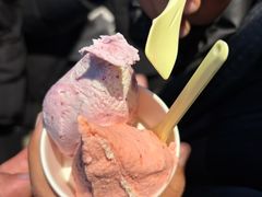 -陕拾叁-西安糕点(北院门创始店)