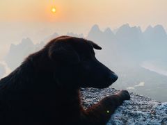 -大面山