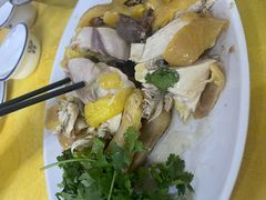 -太手撕鸡