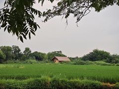 -良渚古城遗址公园