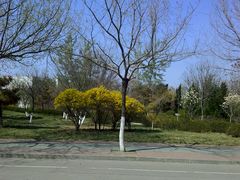 -山东理工大学