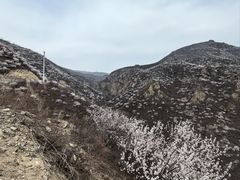 -妙峰山风景名胜区