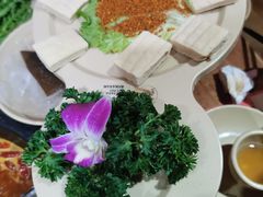 -蜀大侠火锅(森兰花园城店)