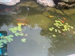 -隐食私房菜(渡口·光荣院南门·老街店)