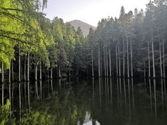 -波尔登森林公园