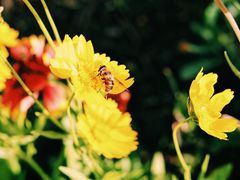 -灞河西岸滨河公园
