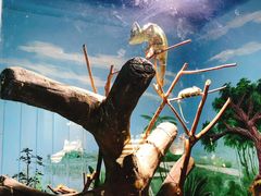 -石家庄市动物园