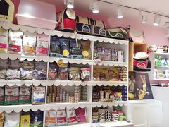 -宠伴小精灵宠物店(鼓楼店)