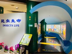 -上海昆虫博物馆