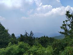-武陵山森林公园