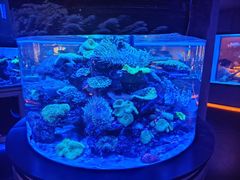 -上和臻品中国菜(花园街店)