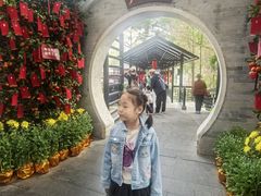 -侨美·唐荔园·40年地道粤菜