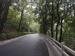 -广州市白云山风景名胜区