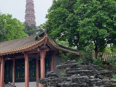 -顺峰山公园