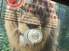 -栾川竹海野生动物园