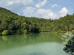 -广州白江湖森林公园