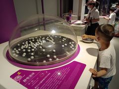 -陕西科学技术馆