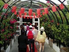 -亚龙湾国际玫瑰谷