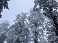 -瓦屋山景区