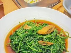 -蜜桃餐厅·伴山(绿宝广场店)