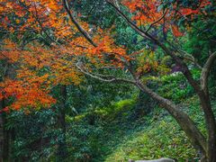 -莫干山风景区