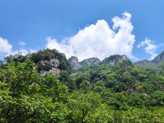 -青峰峡国家森林公园