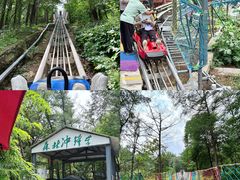 -沂蒙山旅游区云蒙景区(蒙山国家森林公园)