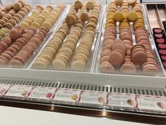 -Pierre Marcolini(德基广场店)