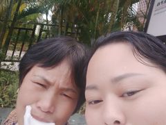 -万绿园