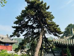 -潭柘寺景区