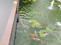 -濮园 · 四合院餐厅