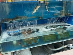 -北方饺子王·海肠捞饭·海鲜锅(山大店)