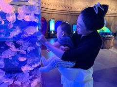 -华夏文旅海洋公园