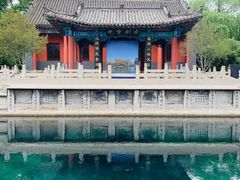 -百脉泉景区