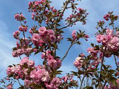 -永定河休闲森林公园